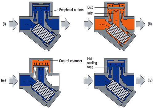 Steam Trap Diagram